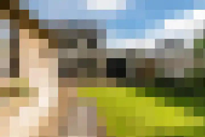 Futenhorst 39 Grave thumbnail 23