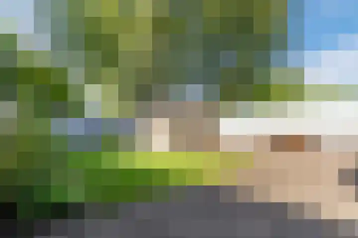 Futenhorst 39 Grave thumbnail 24