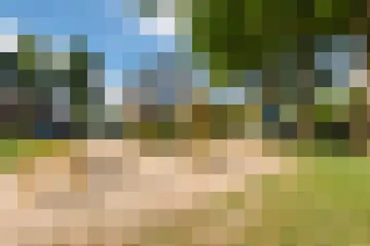 Futenhorst 39 Grave thumbnail 29