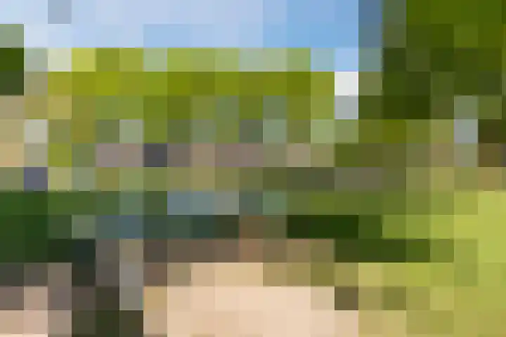 Futenhorst 39 Grave thumbnail 30