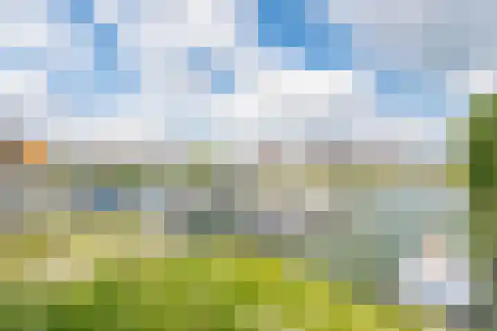 Futenhorst 39 Grave thumbnail 34