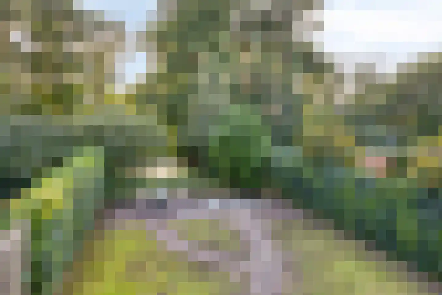 Futenhorst 51 Grave thumbnail 11