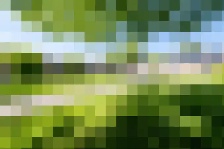 Futenlaan 19 Vinkeveen thumbnail 13