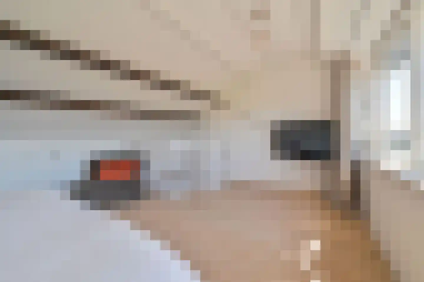Futenlaan 25 Vinkeveen thumbnail 26