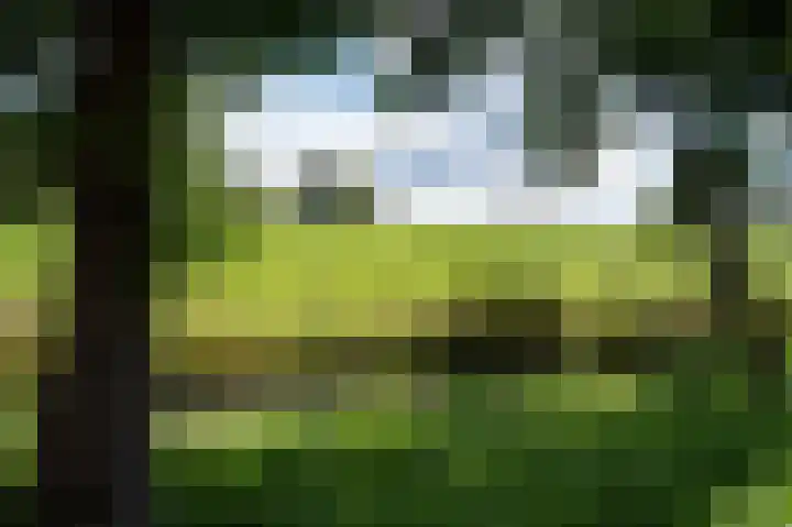 Futenlaan 4 Vinkeveen thumbnail 19