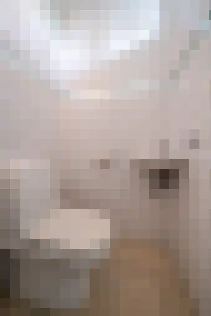 Futenlaan 4 Vinkeveen thumbnail 9