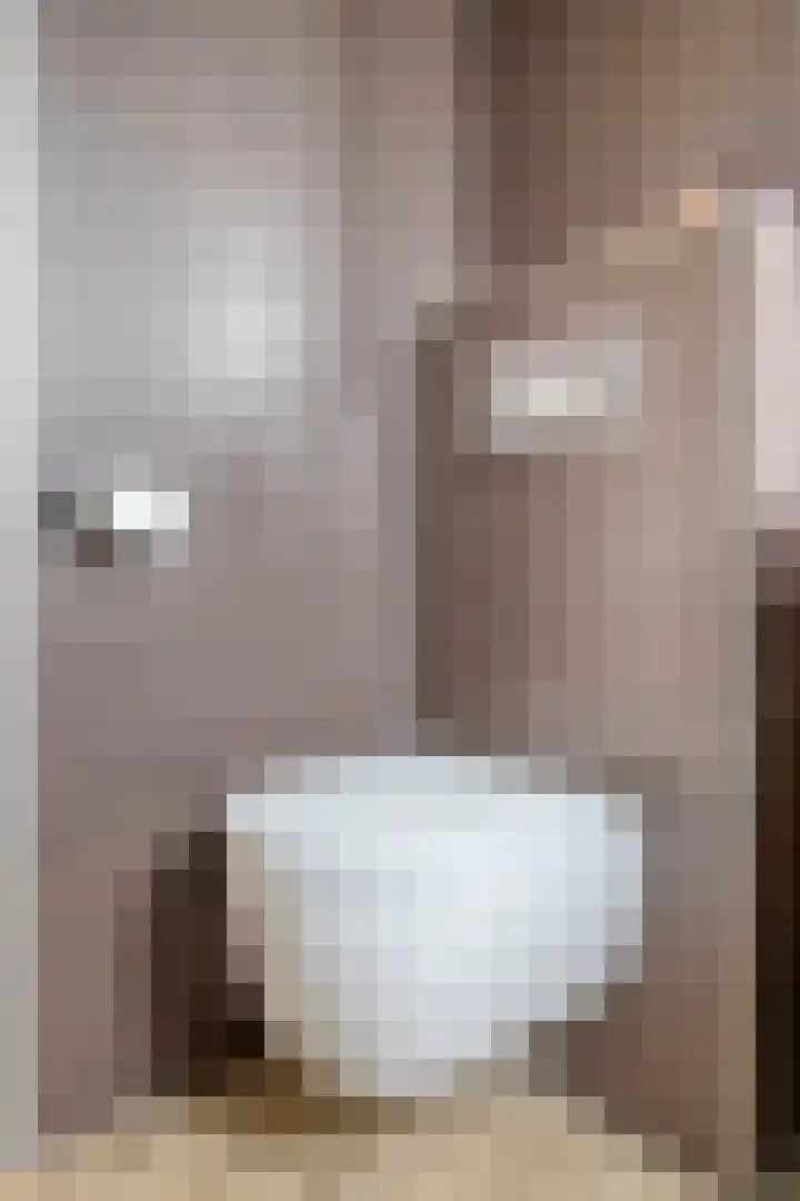 Futenweide 36 Houten thumbnail 20