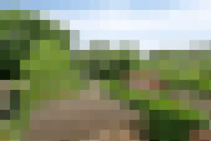 Futenweide 36 Houten thumbnail 33