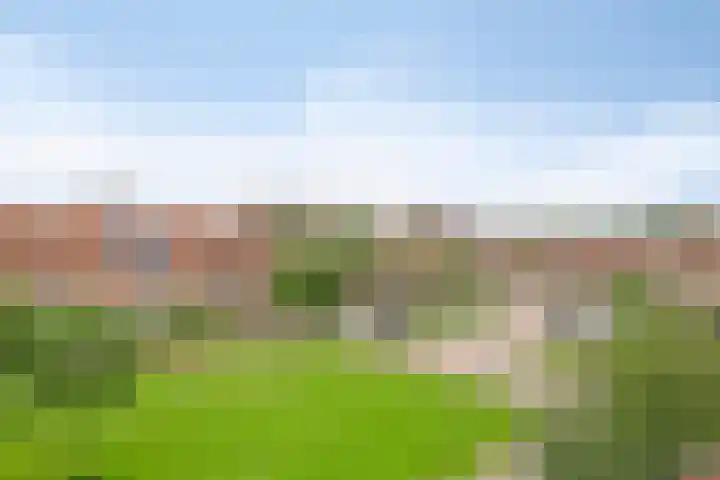 Futenweide 36 Houten thumbnail 35