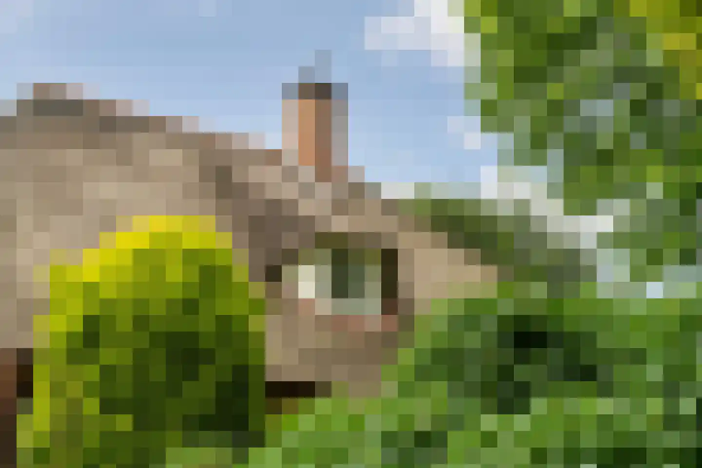 Fuukweg 11 Didam thumbnail 10