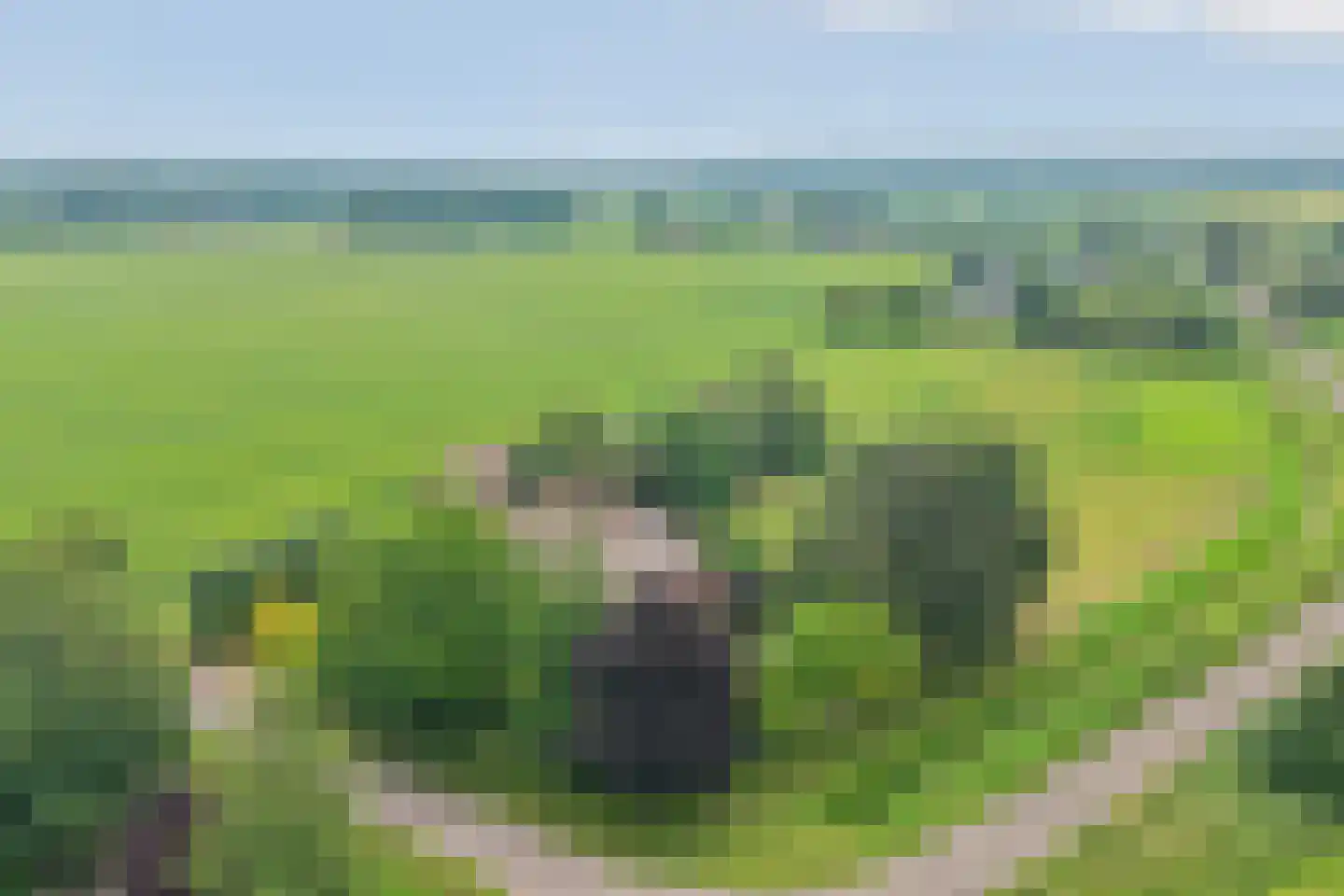 Fuukweg 11 Didam thumbnail 101
