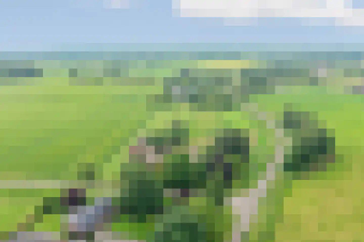 Fuukweg 11 Didam thumbnail 102