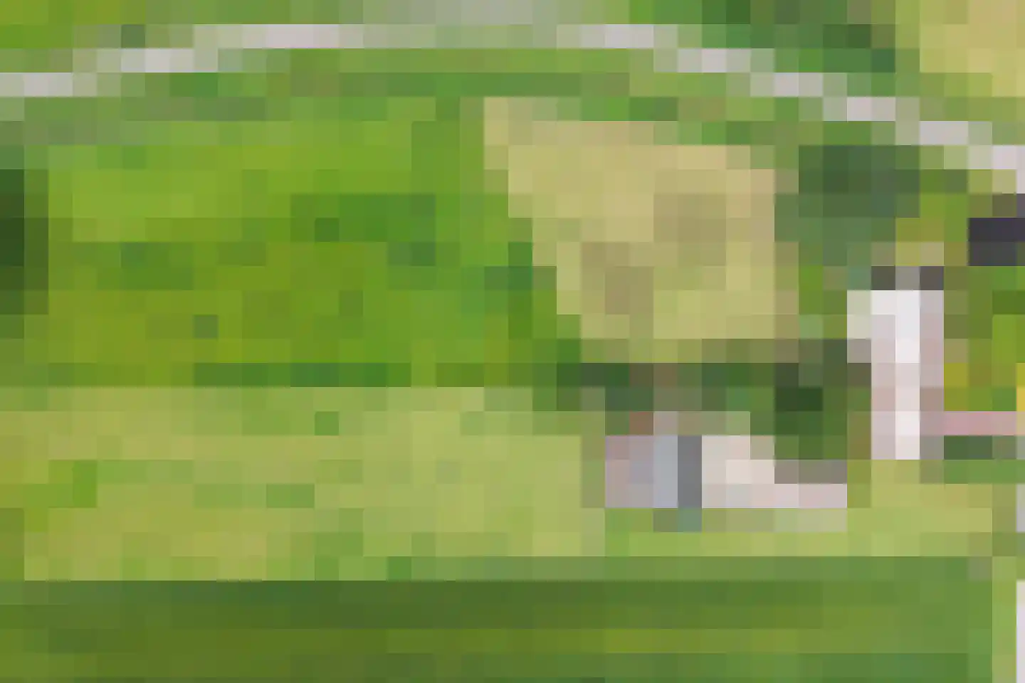 Fuukweg 11 Didam thumbnail 103