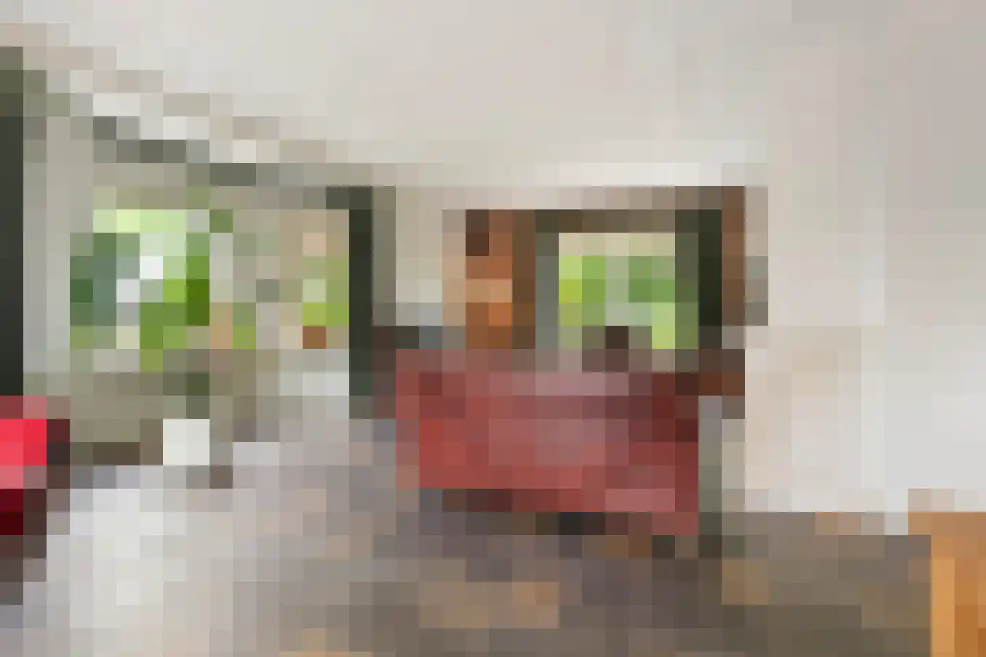 Fuukweg 11 Didam thumbnail 14