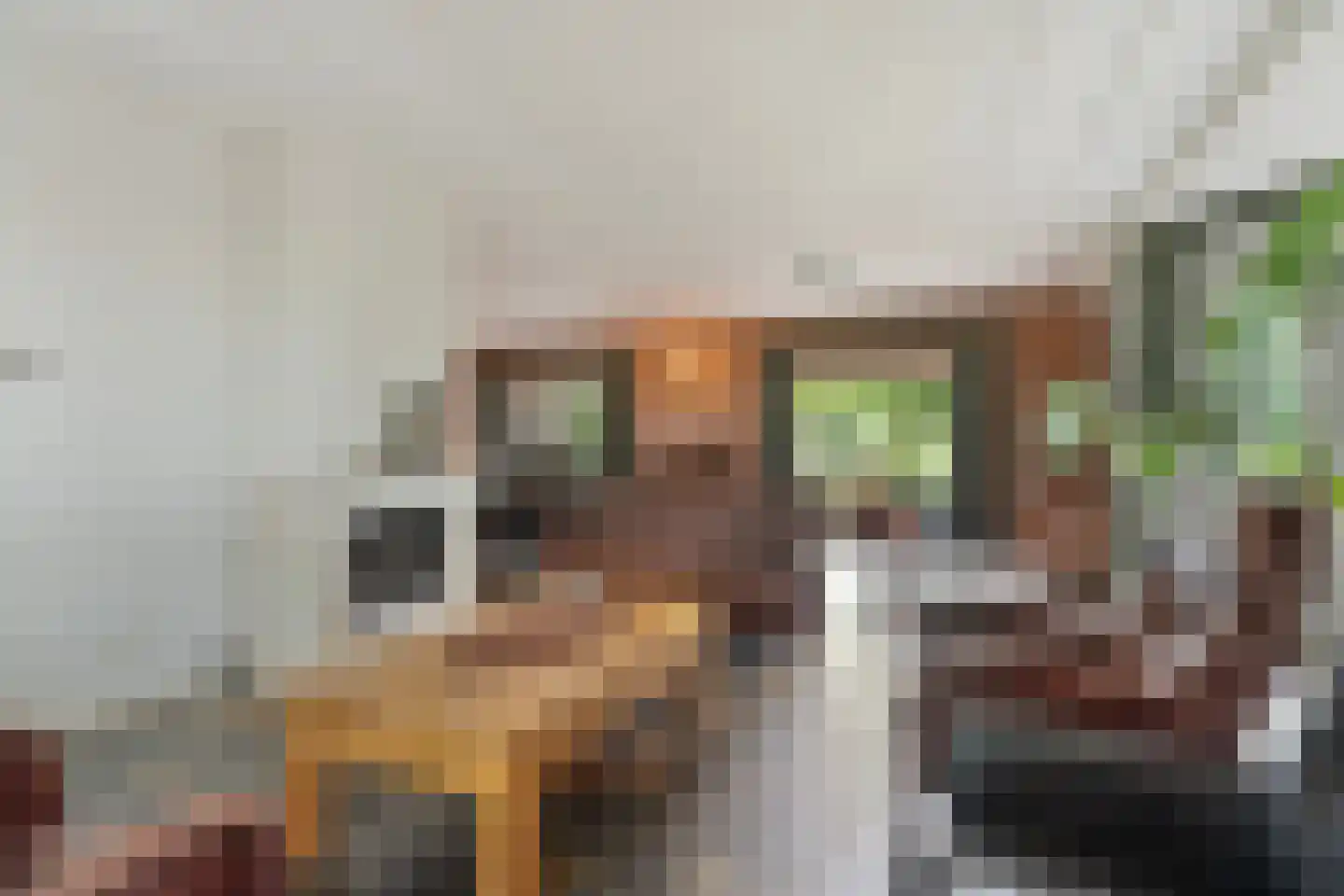 Fuukweg 11 Didam thumbnail 19