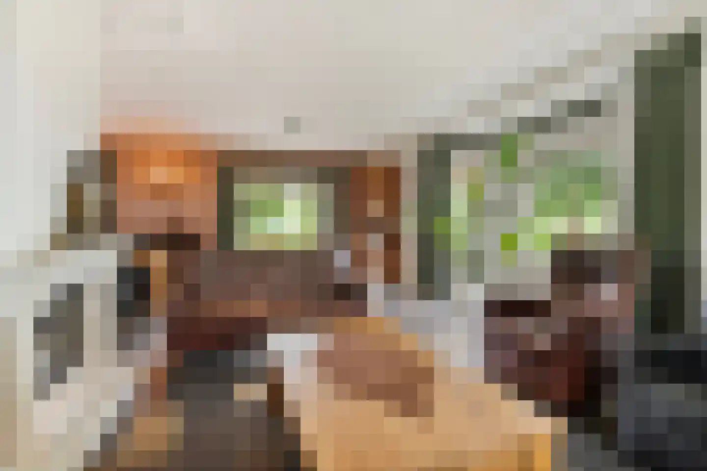 Fuukweg 11 Didam thumbnail 20