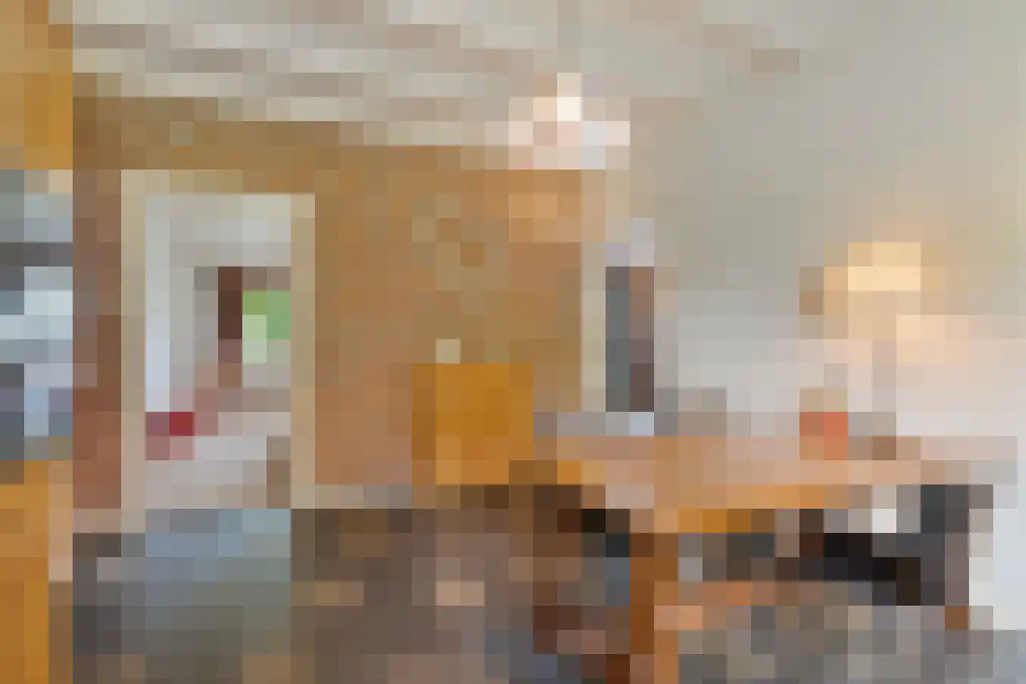 Fuukweg 11 Didam thumbnail 29