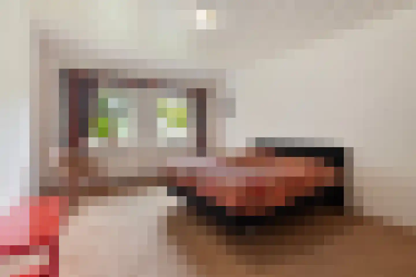 Fuukweg 11 Didam thumbnail 32