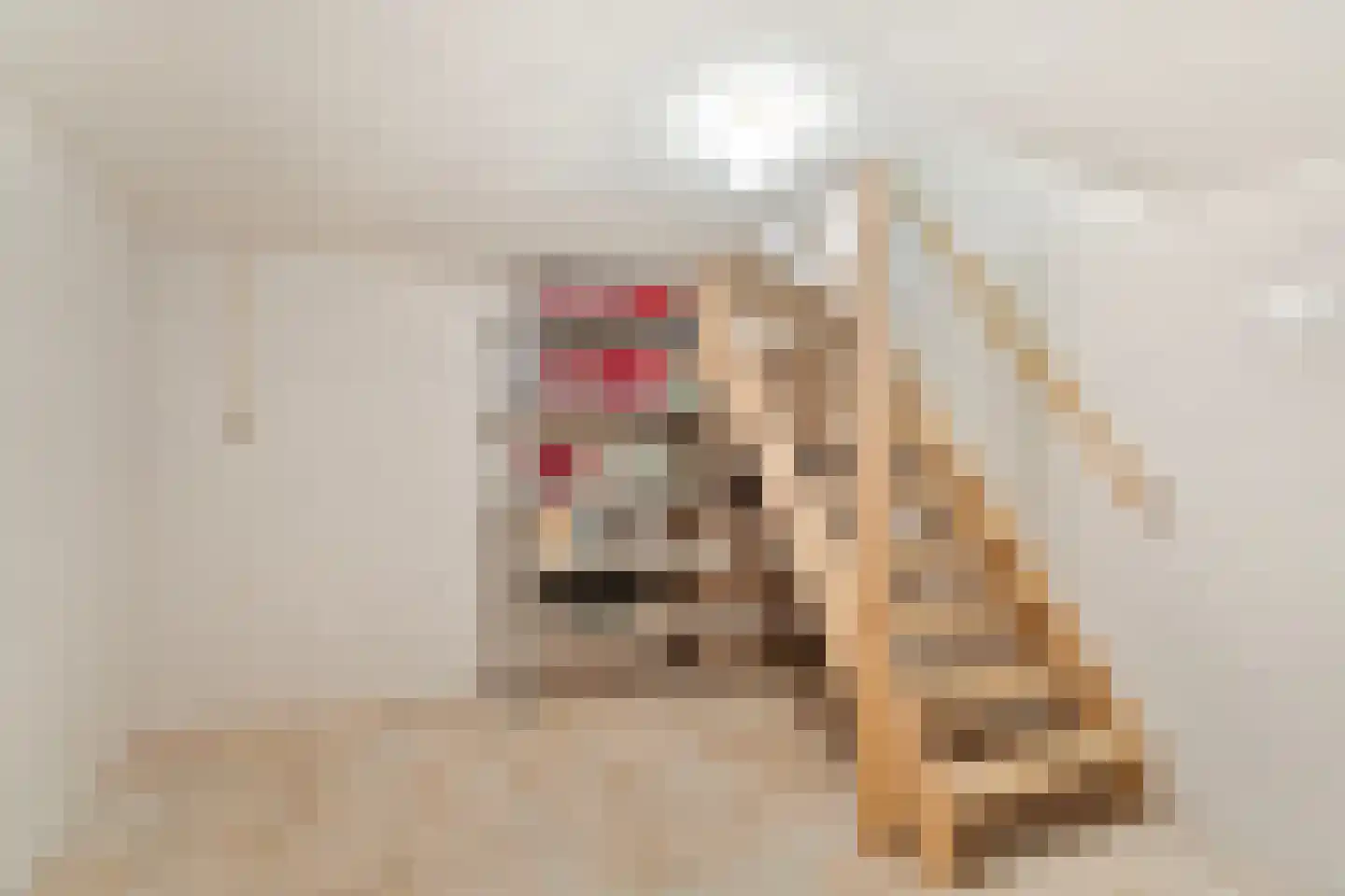 Fuukweg 11 Didam thumbnail 39