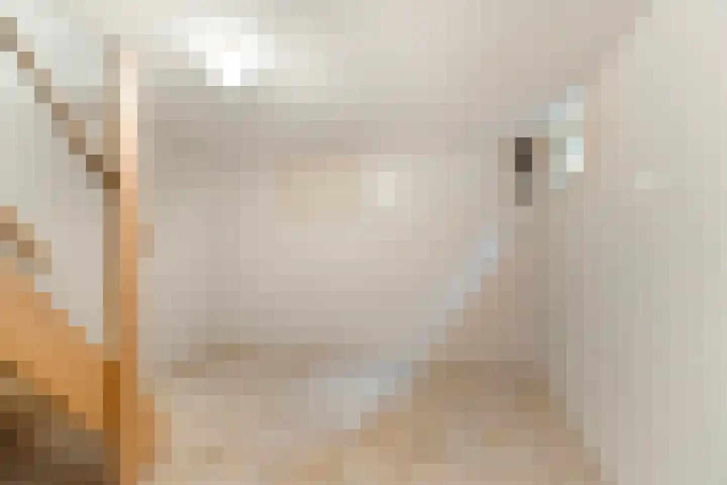 Fuukweg 11 Didam thumbnail 40