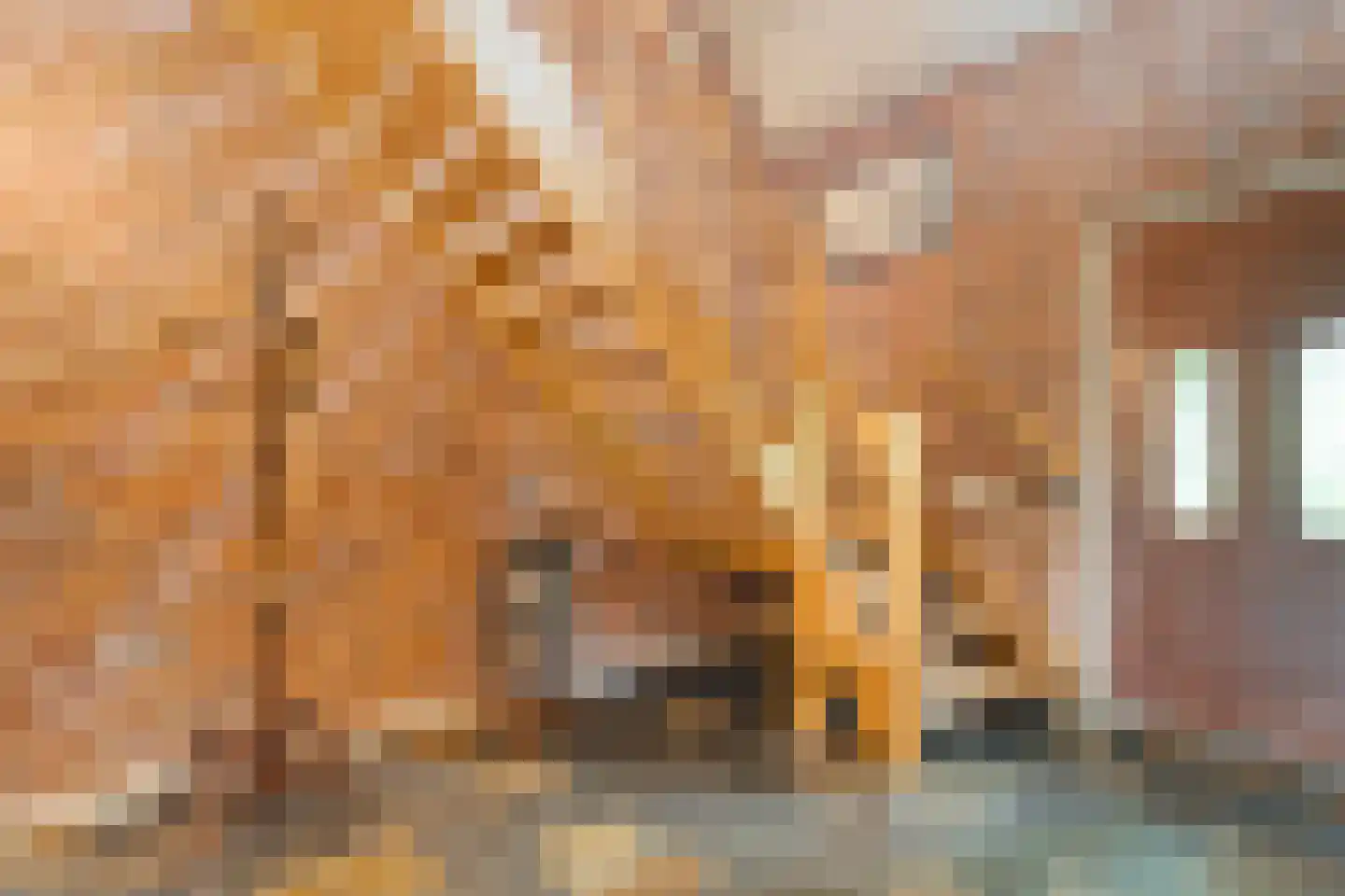 Fuukweg 11 Didam thumbnail 44