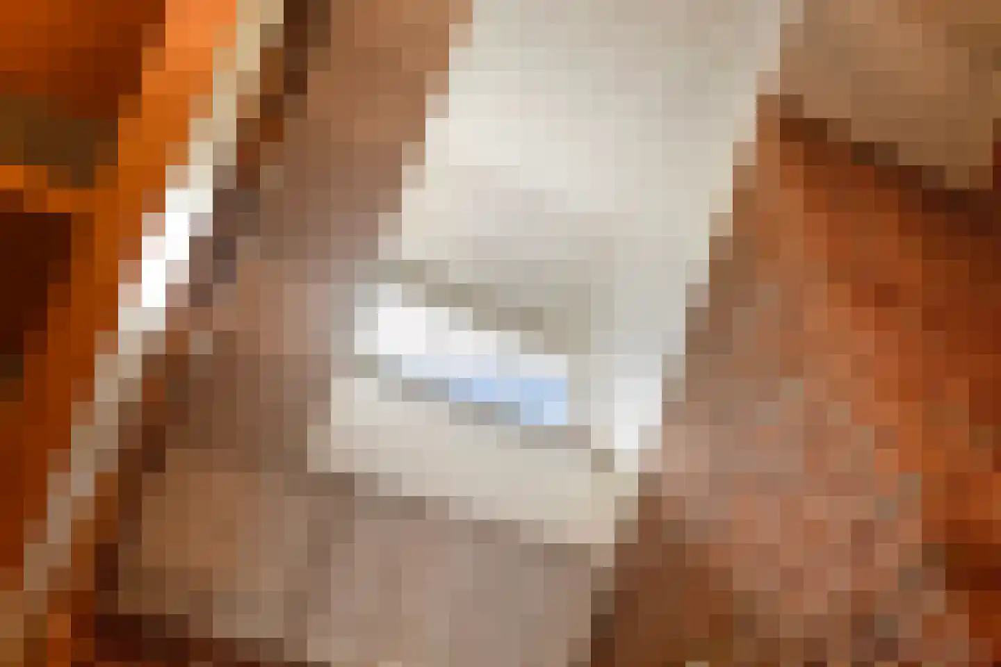 Fuukweg 11 Didam thumbnail 45