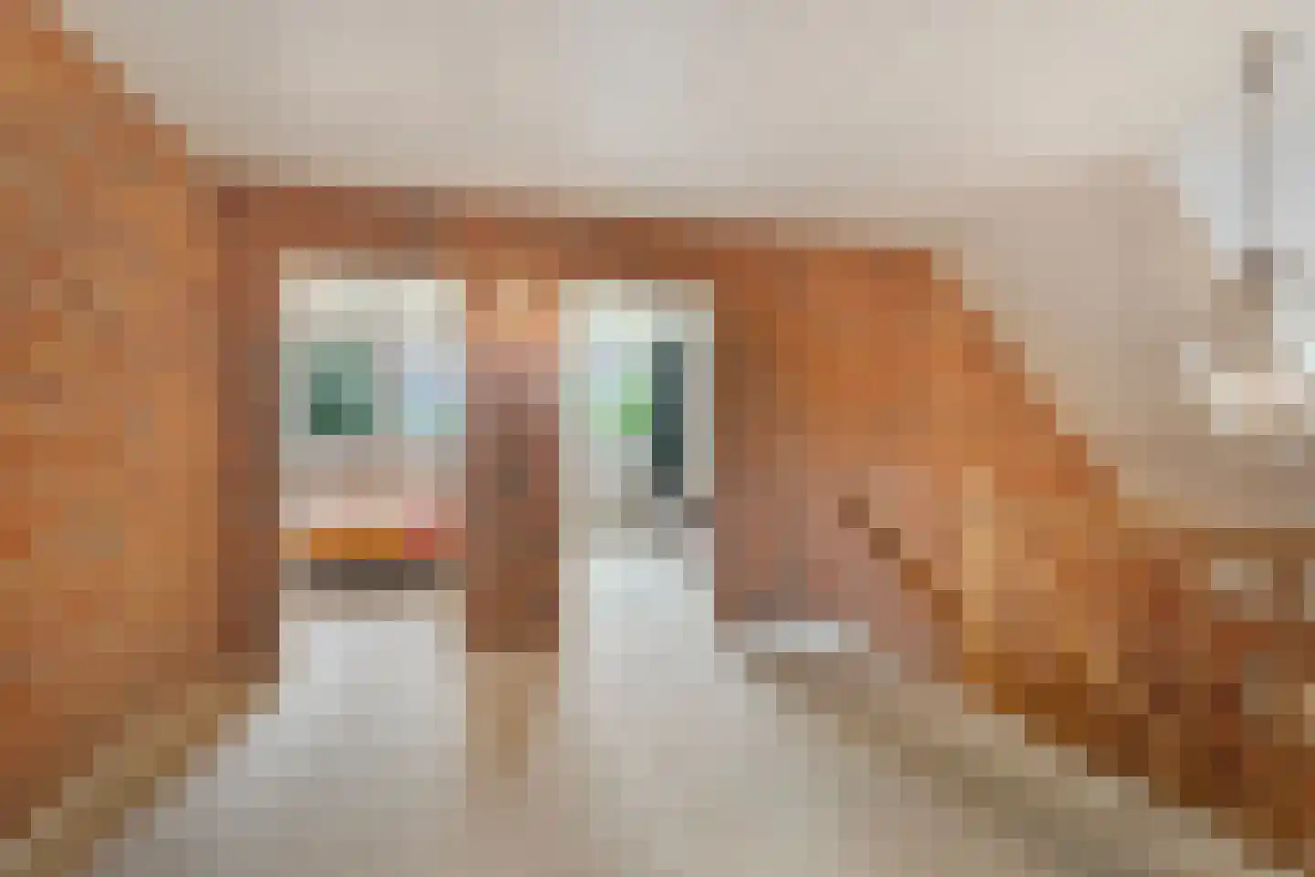 Fuukweg 11 Didam thumbnail 47