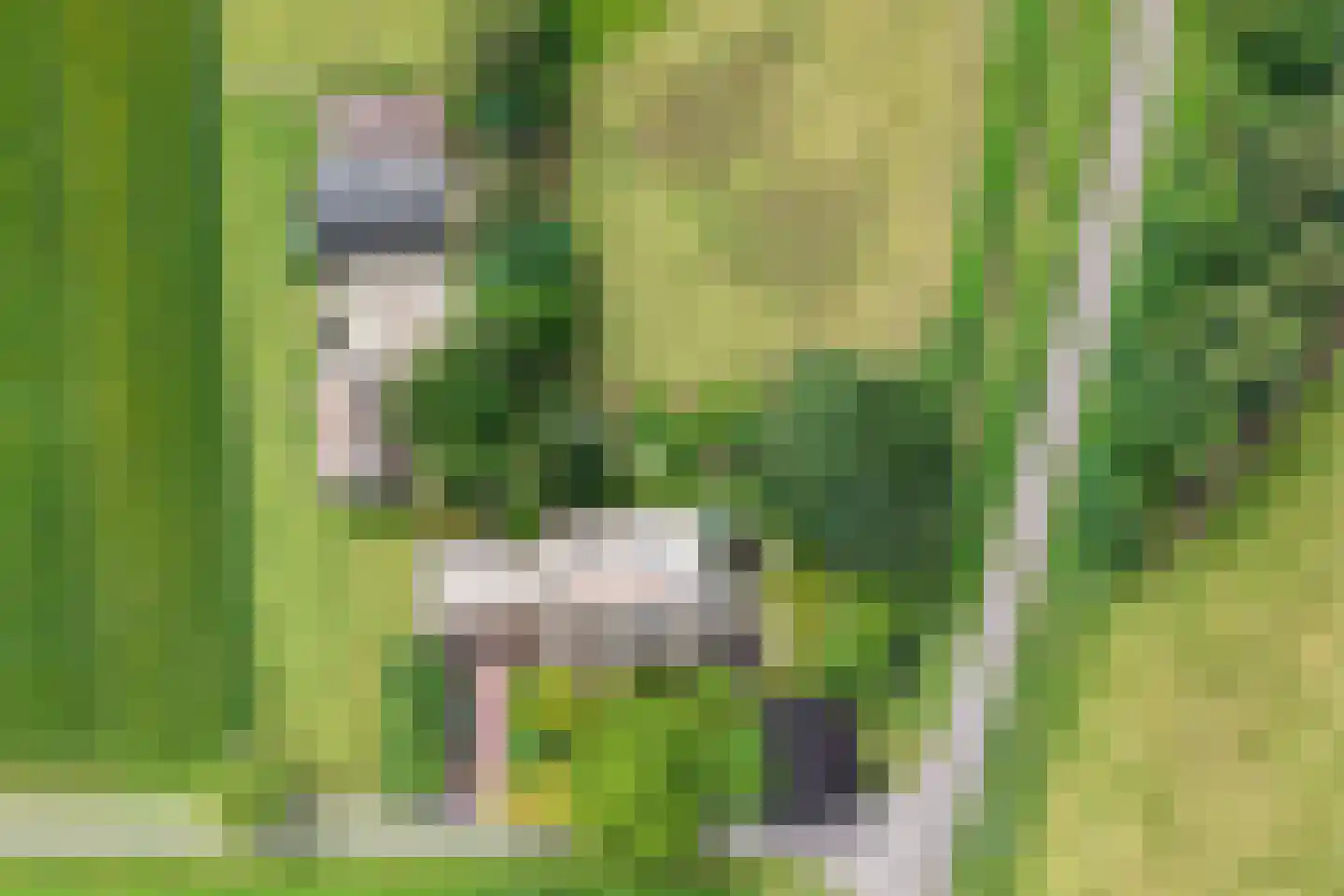 Fuukweg 11 Didam thumbnail 5