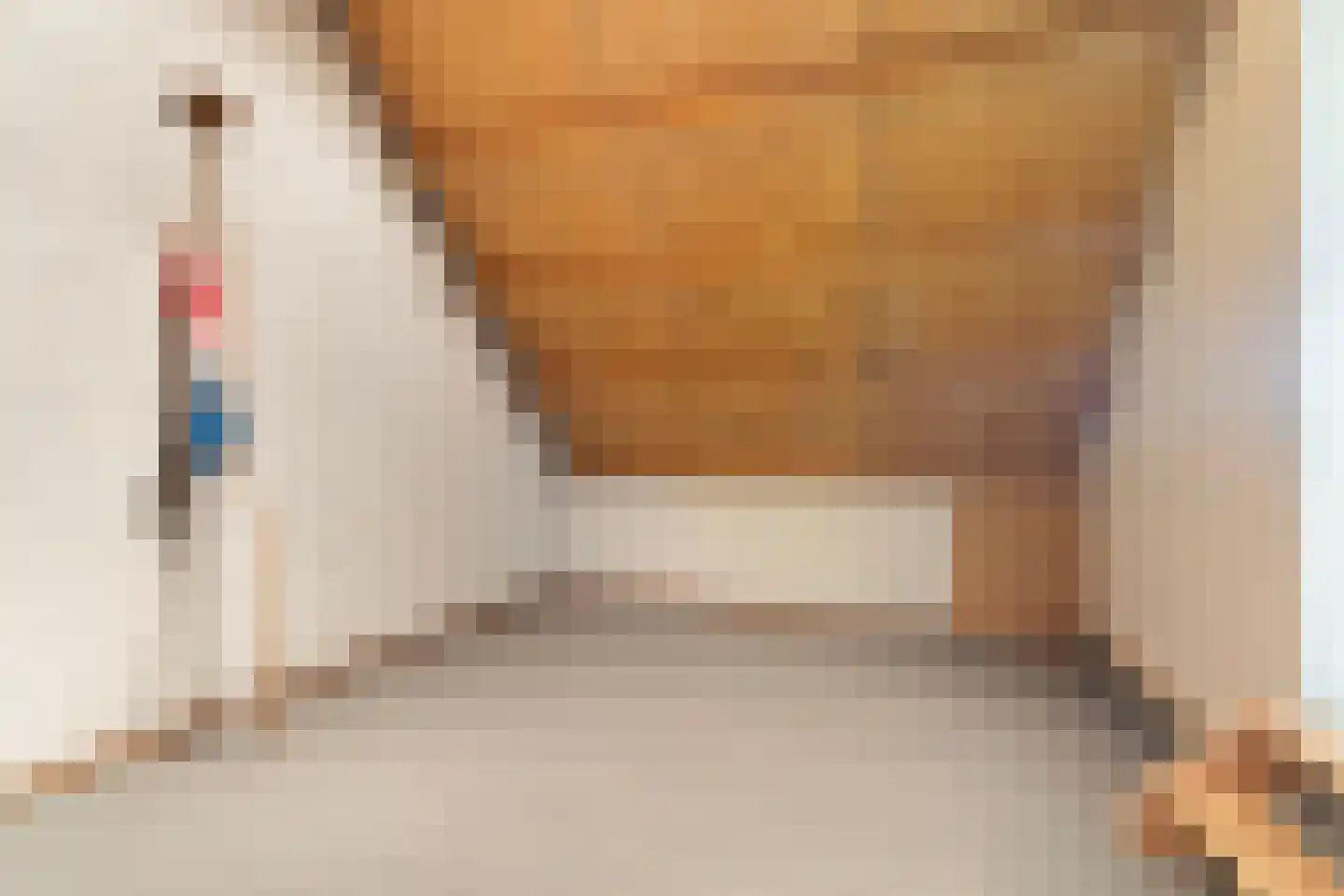 Fuukweg 11 Didam thumbnail 57