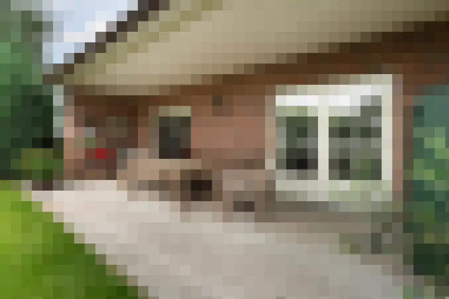 Fuukweg 11 Didam thumbnail 59