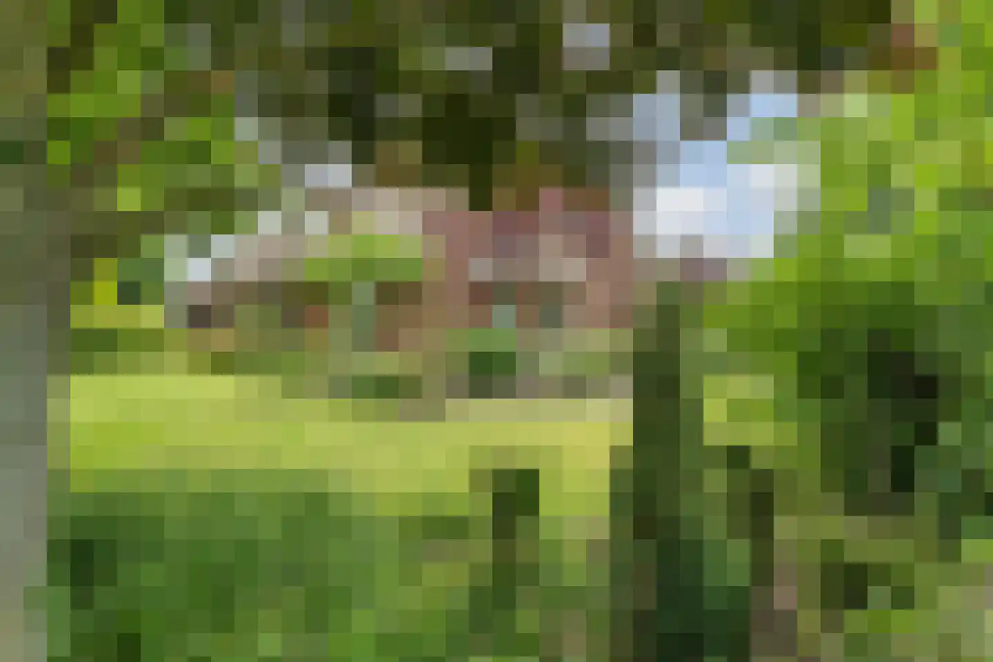 Fuukweg 11 Didam thumbnail 61
