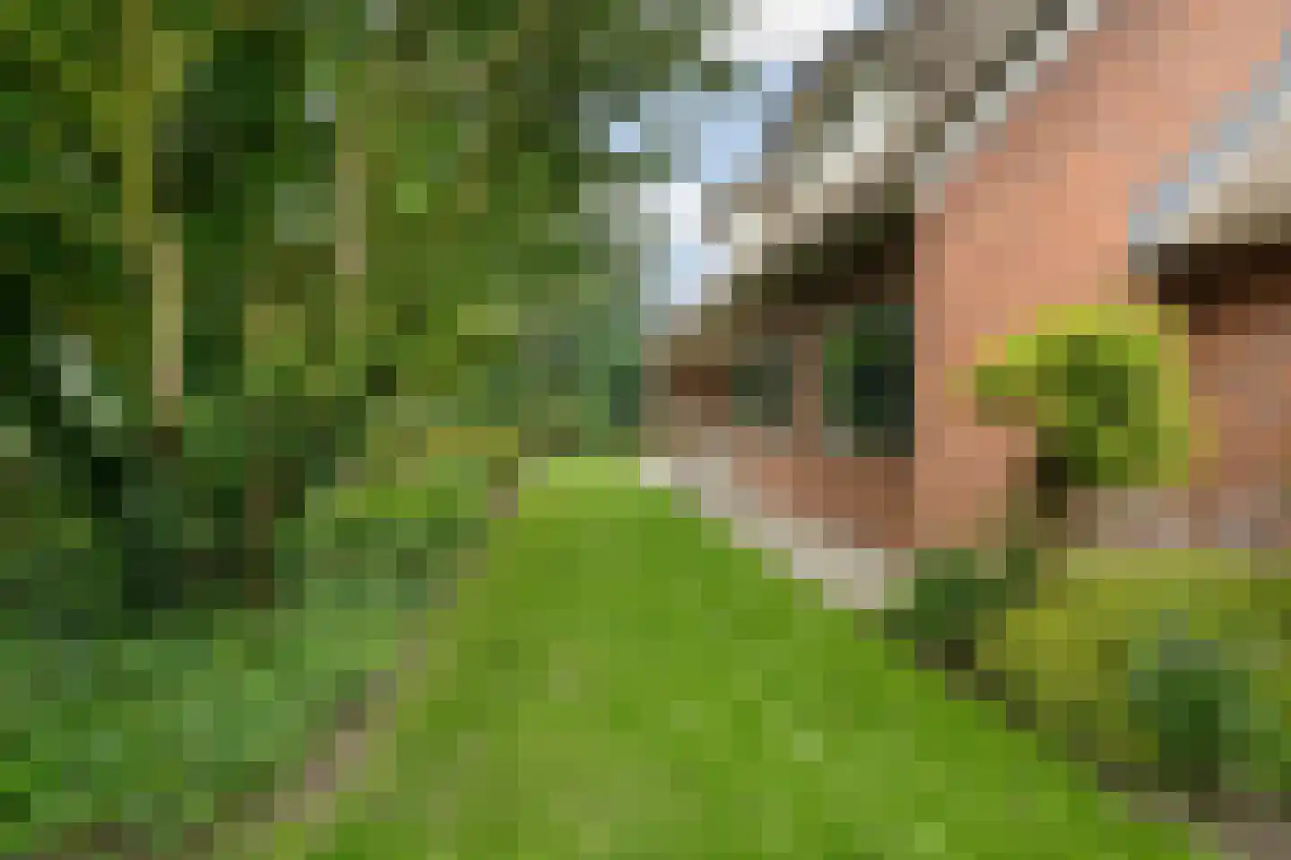 Fuukweg 11 Didam thumbnail 65
