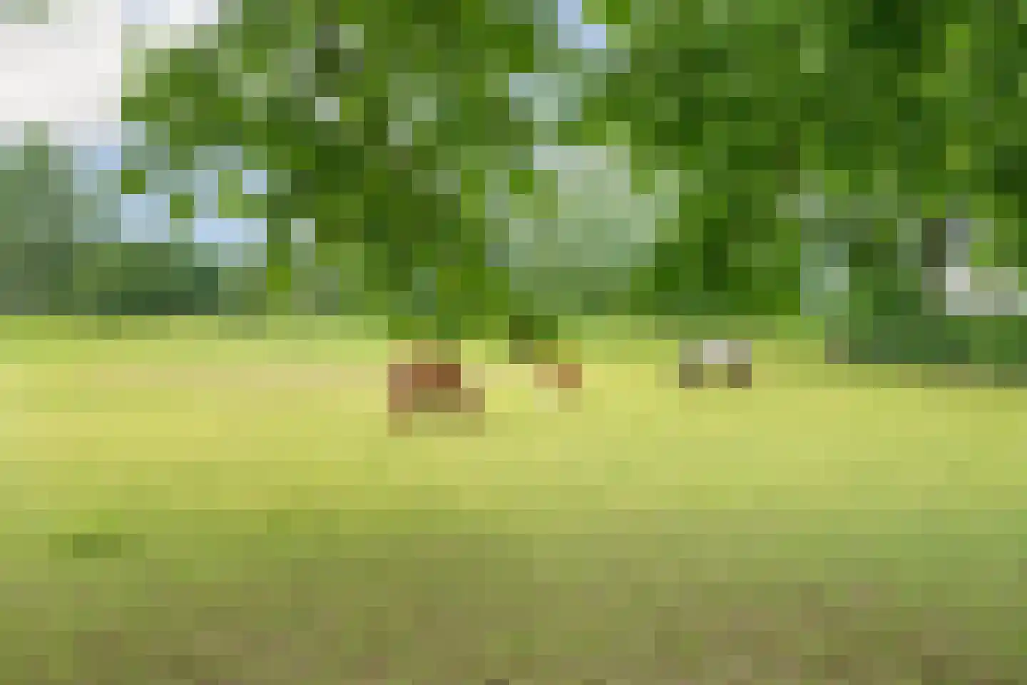 Fuukweg 11 Didam thumbnail 66