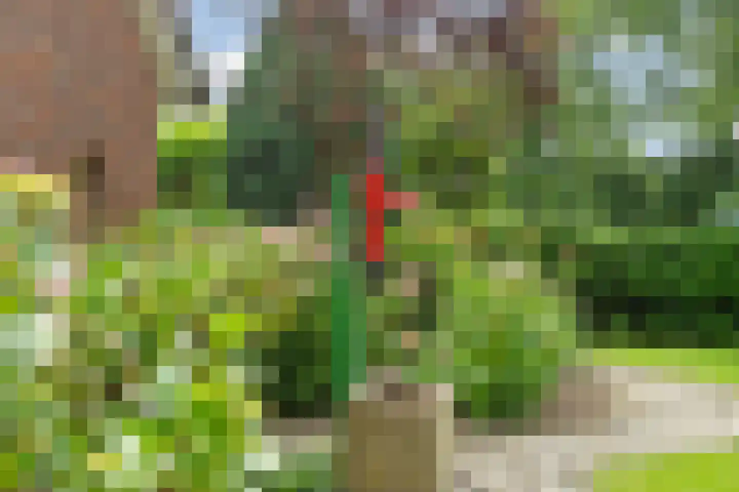 Fuukweg 11 Didam thumbnail 67