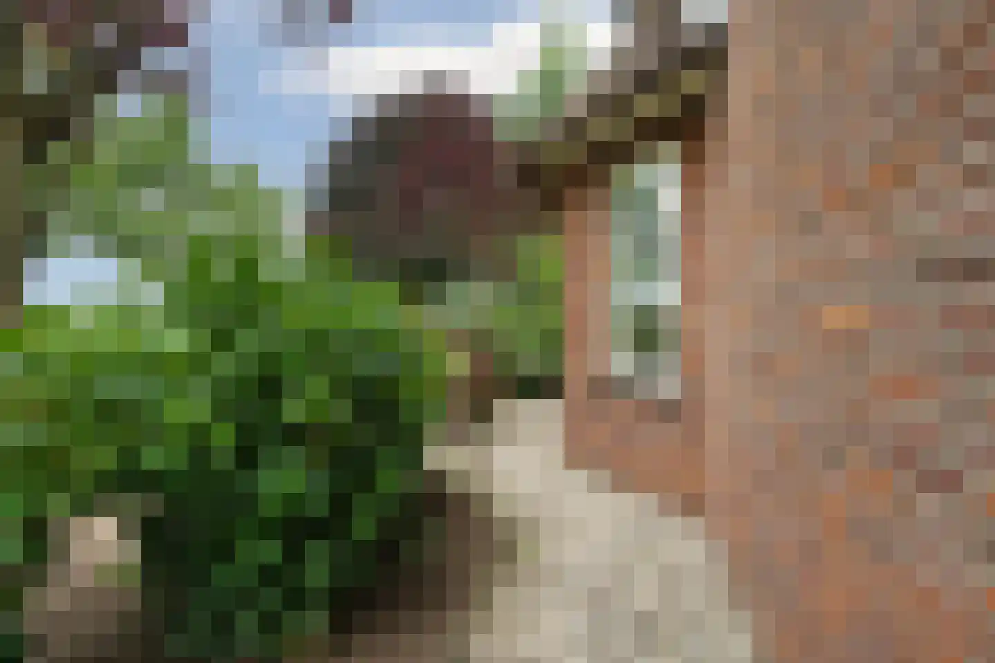 Fuukweg 11 Didam thumbnail 70