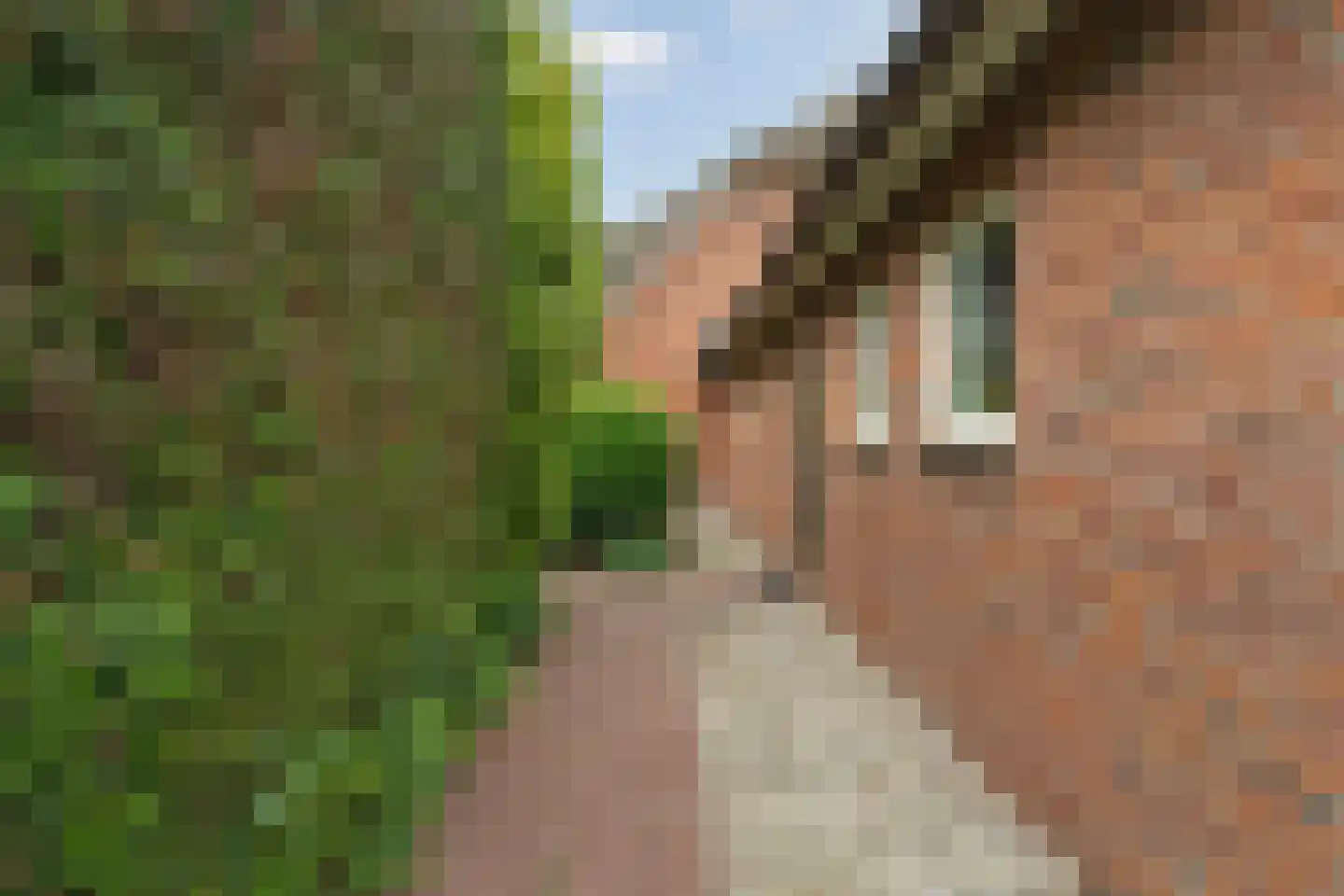 Fuukweg 11 Didam thumbnail 74