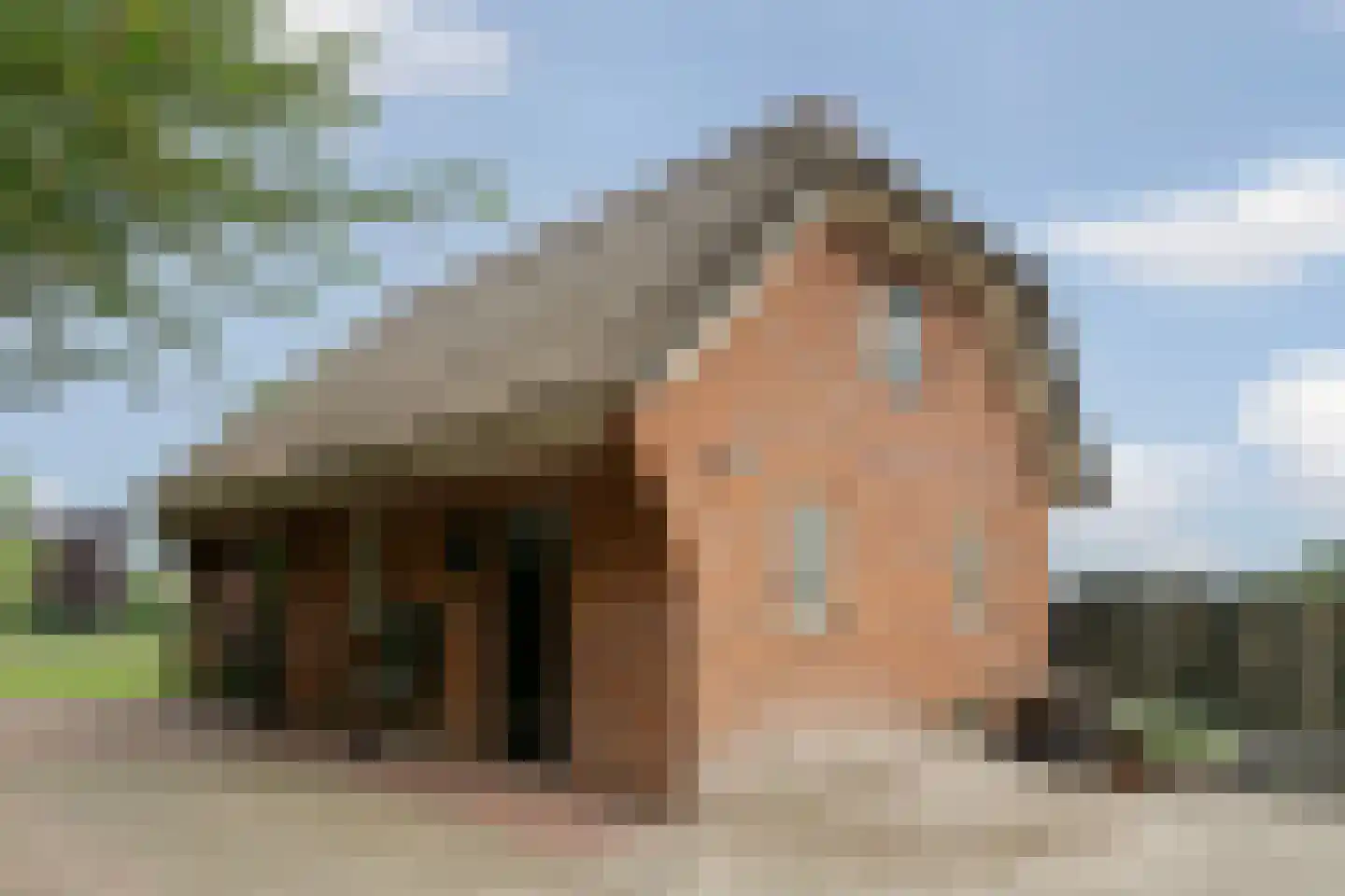 Fuukweg 11 Didam thumbnail 82