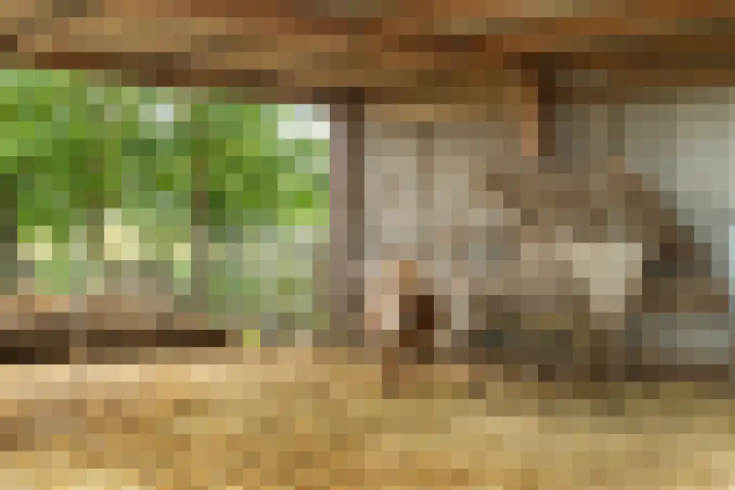 Fuukweg 11 Didam thumbnail 86
