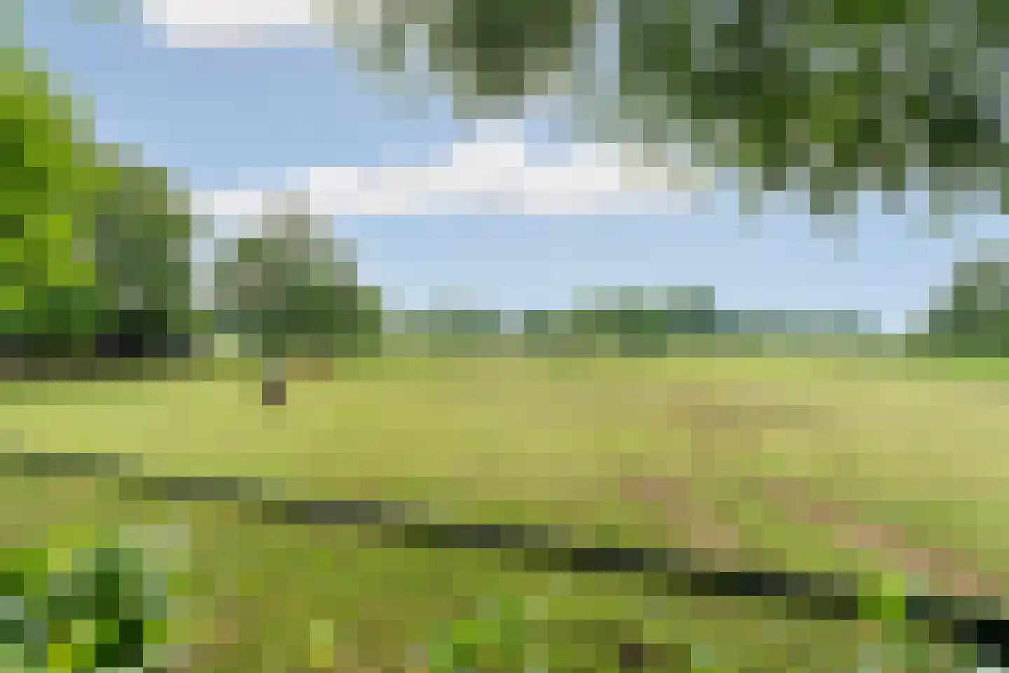 Fuukweg 11 Didam thumbnail 87