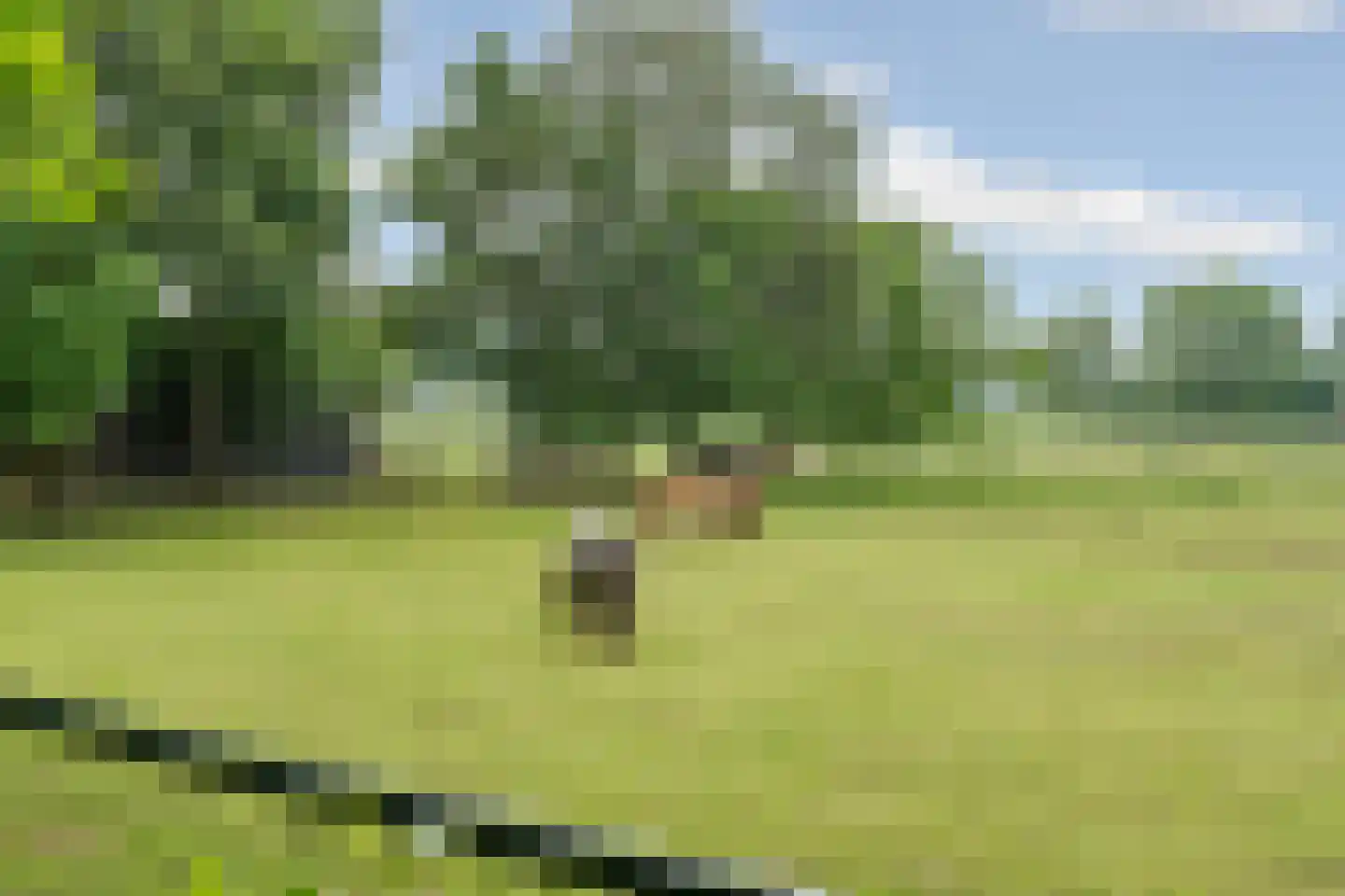 Fuukweg 11 Didam thumbnail 88