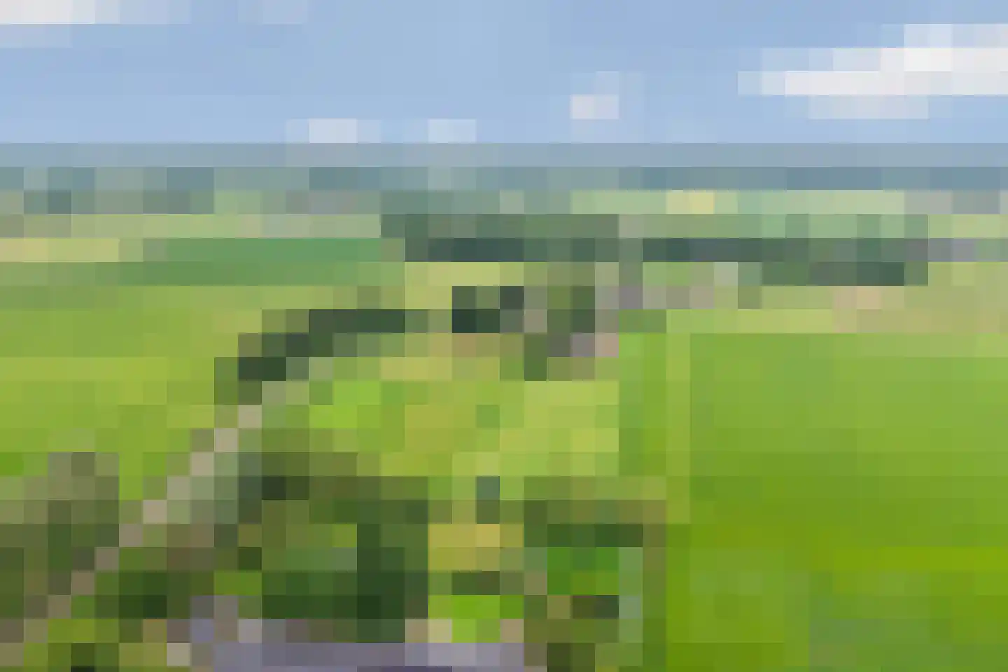 Fuukweg 11 Didam thumbnail 94