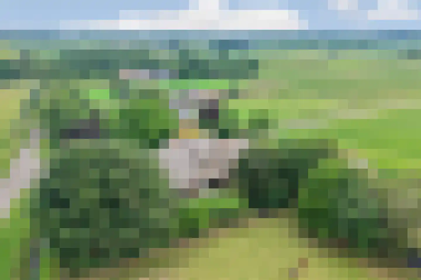 Fuukweg 11 Didam thumbnail 98