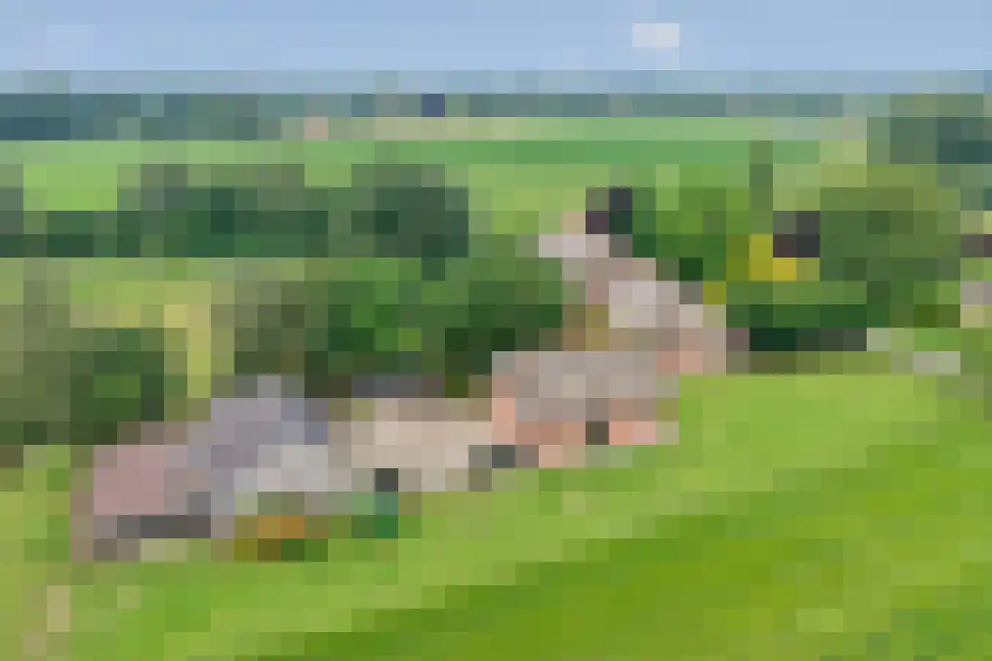 Fuukweg 11 Didam thumbnail 99