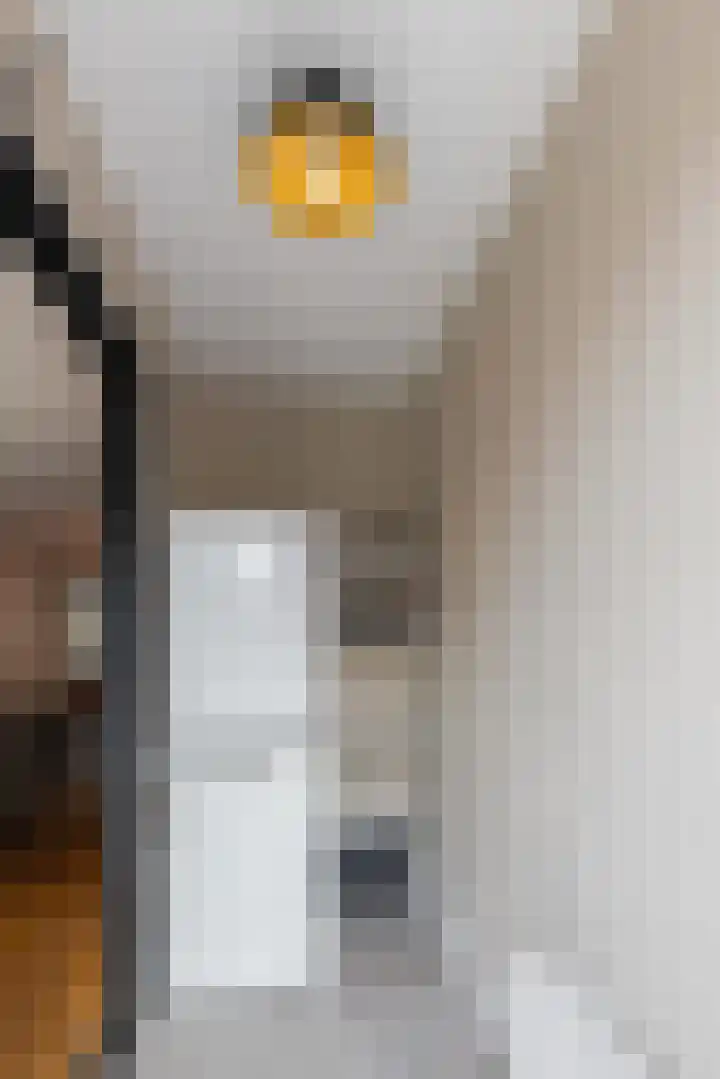 Fuut 1 Raalte thumbnail 14
