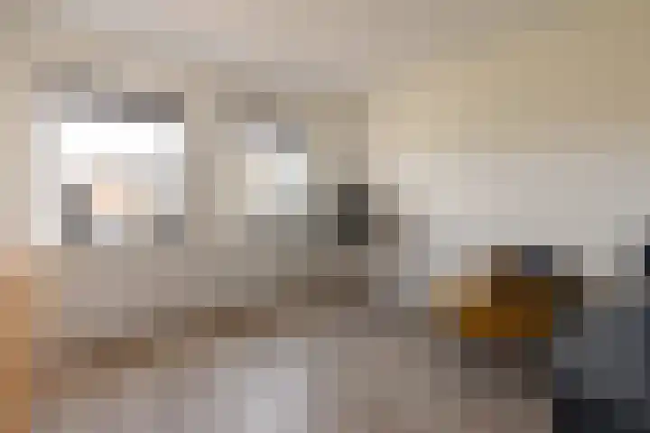 Fuut 1 Raalte thumbnail 21
