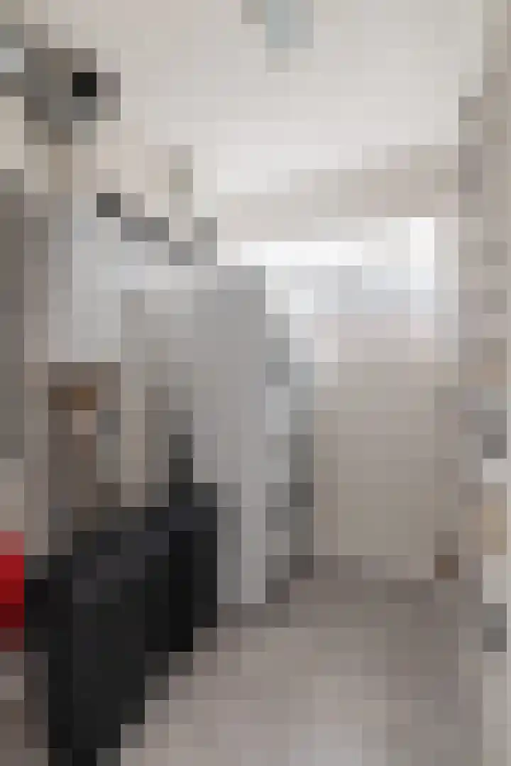 Fuut 1 Raalte thumbnail 25