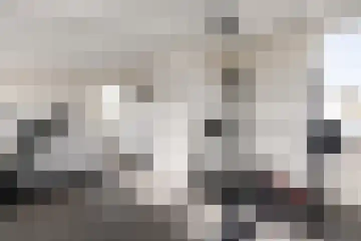 Fuut 1 Raalte thumbnail 26