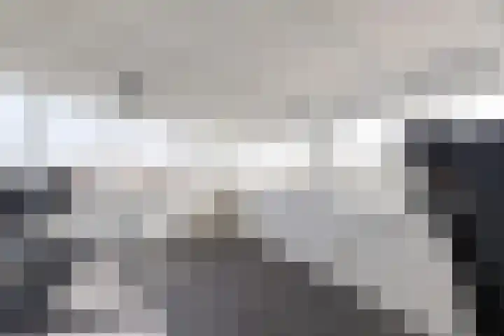 Fuut 1 Raalte thumbnail 27