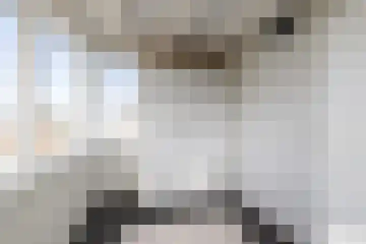 Fuut 1 Raalte thumbnail 28