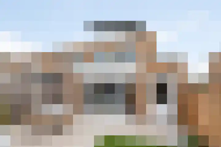 Fuut 1 Raalte thumbnail 30